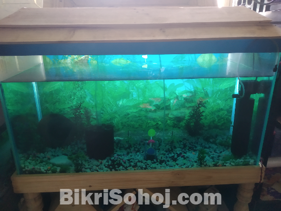 Aquarium sale